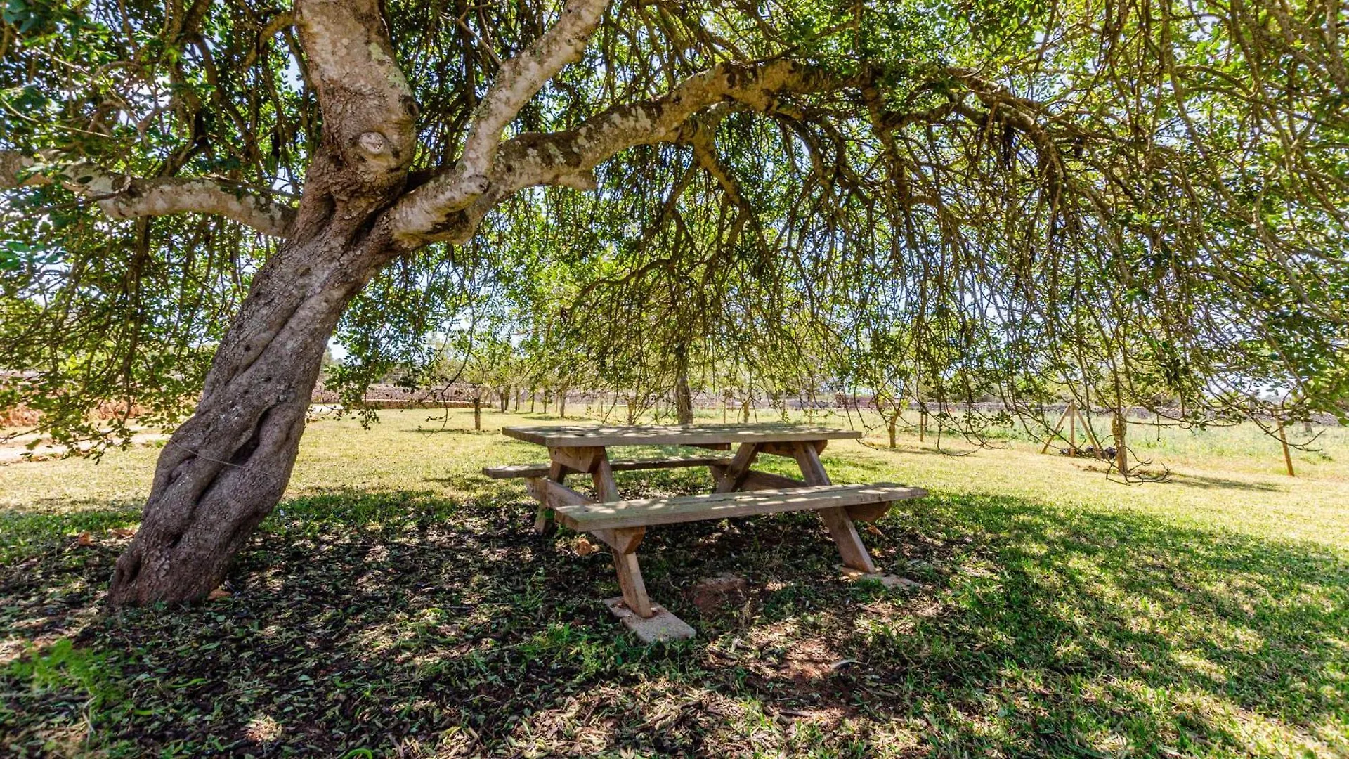 Yourhouse Agroturismo Can Porreti El Galliner Lloret de Vistalegre